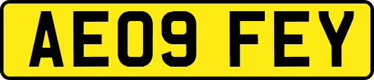 AE09FEY
