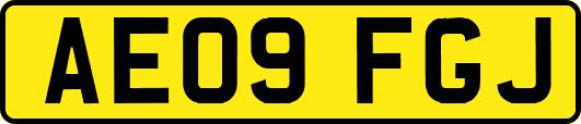 AE09FGJ