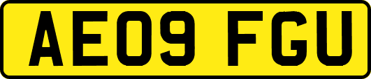 AE09FGU