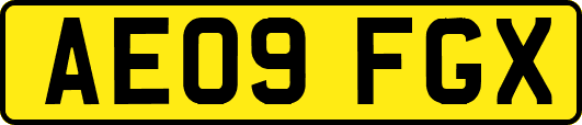 AE09FGX
