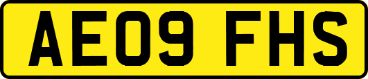 AE09FHS