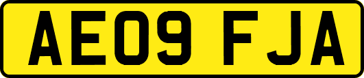 AE09FJA
