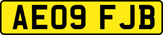 AE09FJB