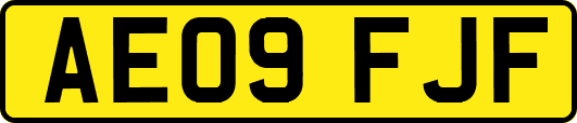 AE09FJF