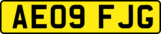AE09FJG