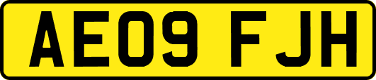 AE09FJH