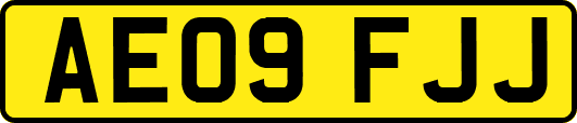 AE09FJJ