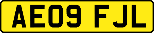 AE09FJL