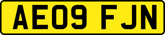 AE09FJN