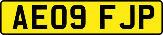 AE09FJP