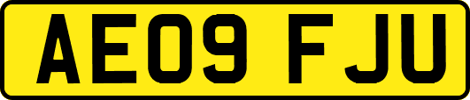 AE09FJU