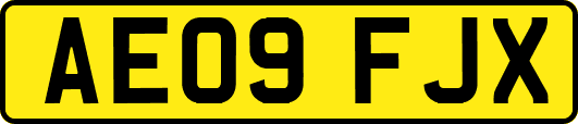 AE09FJX