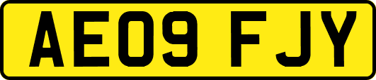 AE09FJY