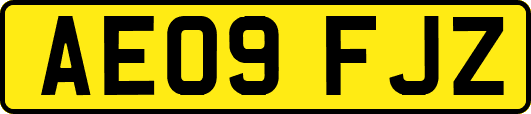 AE09FJZ