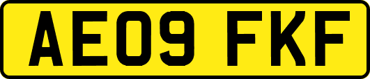 AE09FKF