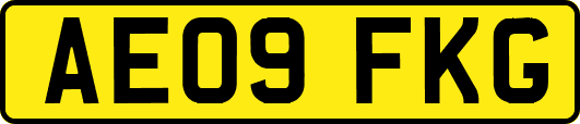 AE09FKG