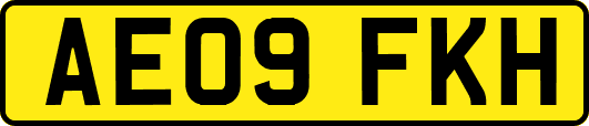 AE09FKH