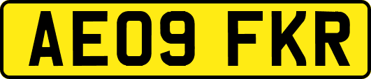 AE09FKR