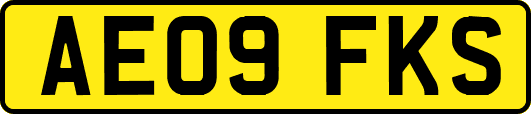 AE09FKS