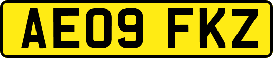 AE09FKZ