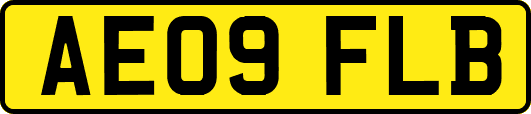 AE09FLB