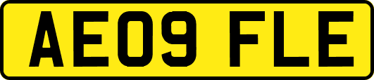 AE09FLE