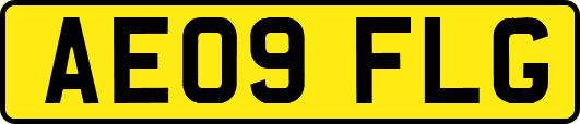 AE09FLG