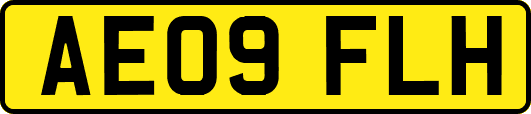 AE09FLH