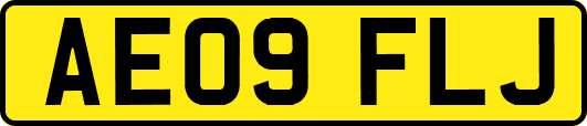 AE09FLJ
