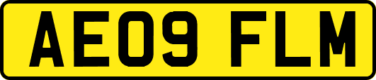 AE09FLM