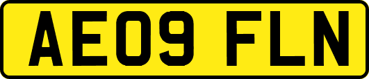 AE09FLN