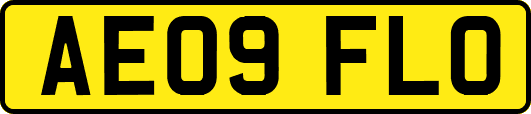 AE09FLO