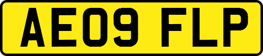 AE09FLP