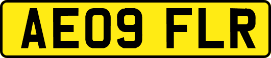AE09FLR