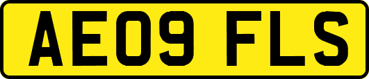 AE09FLS