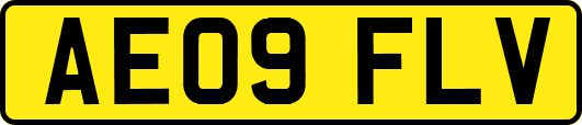 AE09FLV