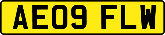 AE09FLW