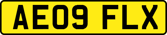 AE09FLX