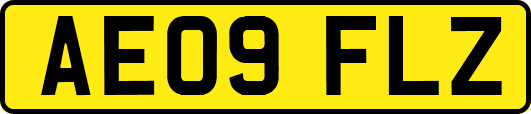 AE09FLZ