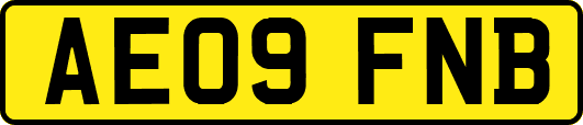 AE09FNB