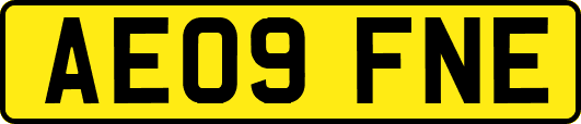 AE09FNE