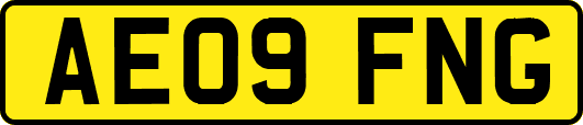AE09FNG