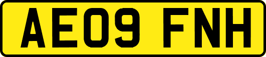 AE09FNH