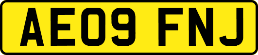 AE09FNJ