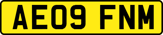 AE09FNM