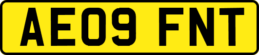 AE09FNT