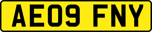 AE09FNY