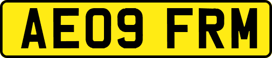 AE09FRM