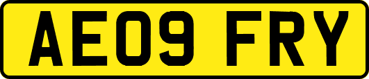 AE09FRY
