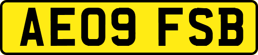 AE09FSB